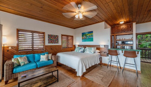 Flowers Suite - Premium Studio, 1 King Bed, Oceanview, Ground Floor Unit