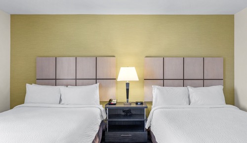 Studio Suite, 2 Queen Beds