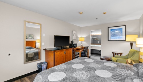 Room, 1 King Bed, Non Smoking