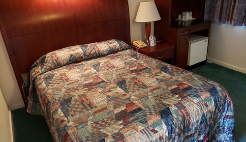 Room, 1 Queen Bed