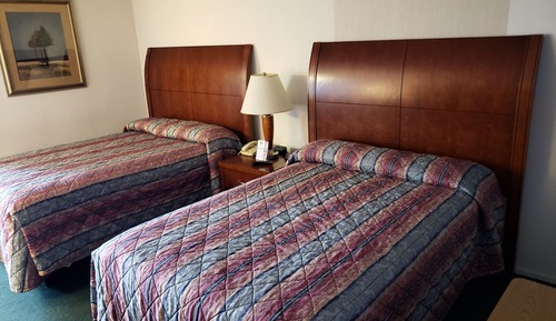 Standard Room, 2 Double Beds