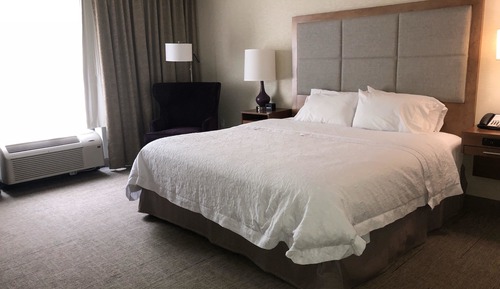 Room, 1 King Bed, Non Smoking, Refrigerator & Microwave