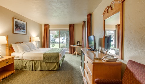 Standard Room, 1 Queen Bed (No Pets Allowed)