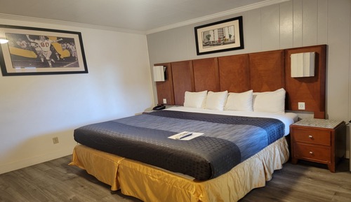 Room, 1 King Bed, Non Smoking, Pet-Friendly
