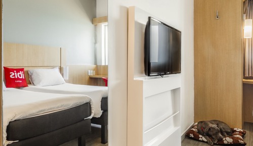 Standard Twin Room, 2 Twin Beds