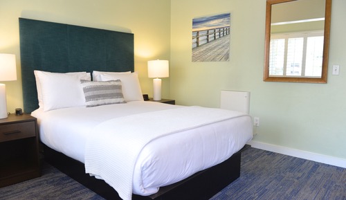 Basic Room, 1 Queen Bed, Refrigerator & Microwave