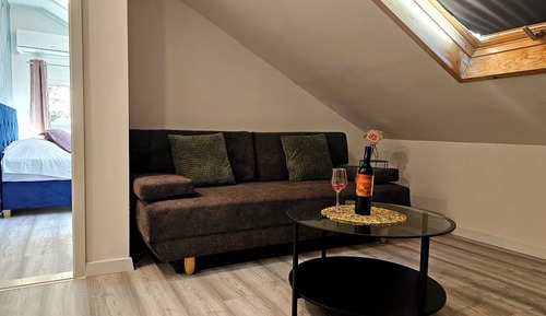 Standard Apartment, 1 Bedroom