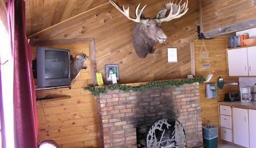 #14, Moose, 3 bed