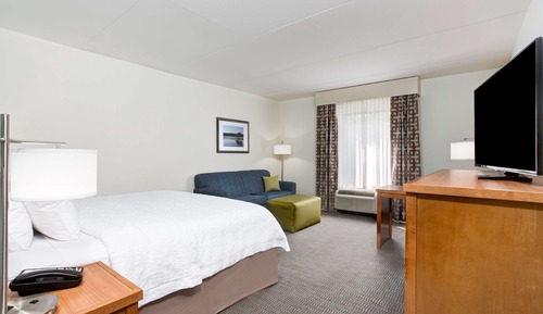 Room, 1 King Bed, Non Smoking, Refrigerator & Microwave