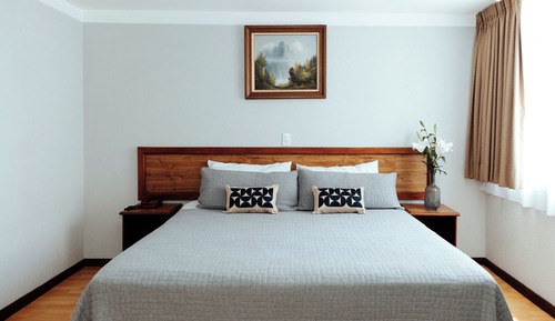 Room, 1 King Bed (No air conditioning)
