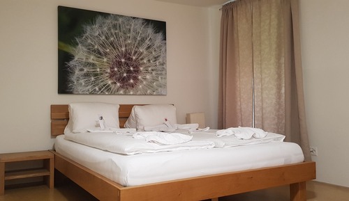 Business Apartment, 2 Queen Beds