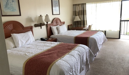Standard Room, 2 Double Beds