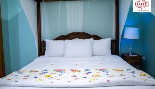 Basic Single Room, 1 Queen Bed, No Windows