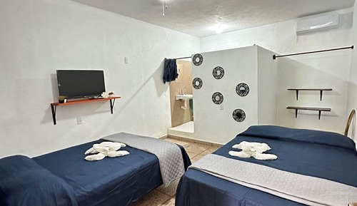 Economy Twin Room