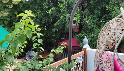 Double Room, Mountain View