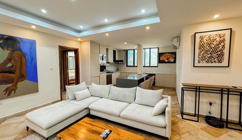 Deluxe Apartment, City View