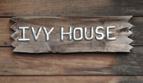 Ivy