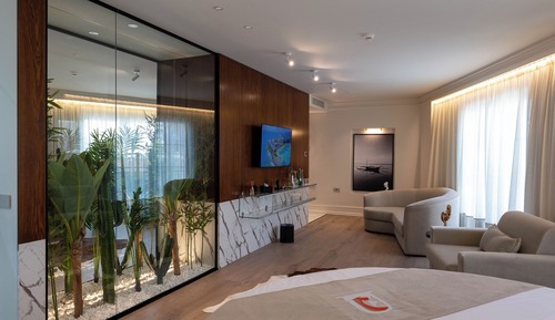 Luxury Suite
