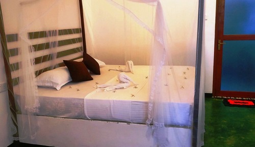Deluxe Double or Twin Room, Balcony, Garden View