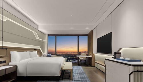 Executive Room Airport View -1 King Bed