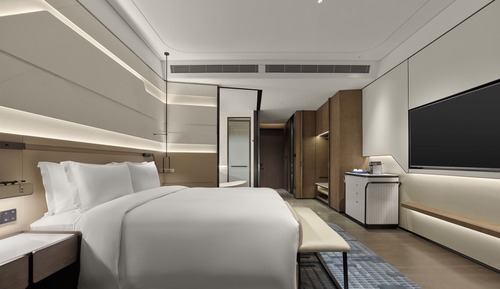 Deluxe Room Airport View - 1 King Bed