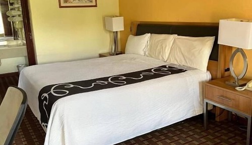 Standard Single Room, Non Smoking