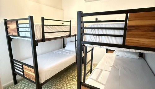 Standard Shared Dormitory
