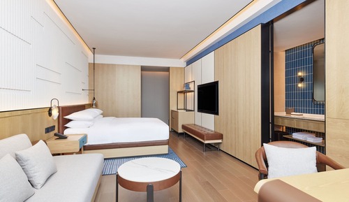 Room, 1 King Bed