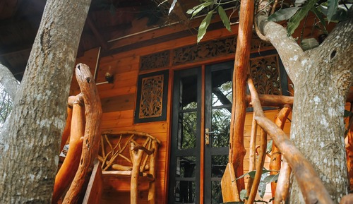 Tree House