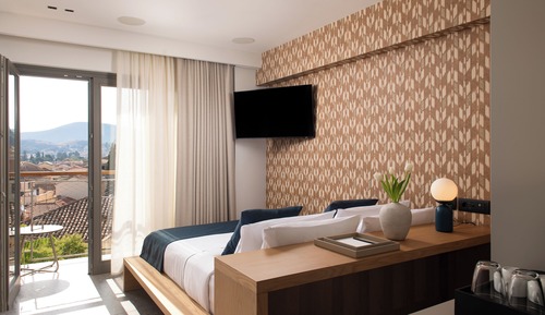 Cozy Double Room