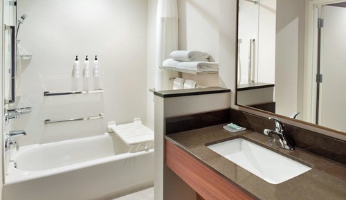 Suite, 1 King Bed with Sofa bed
