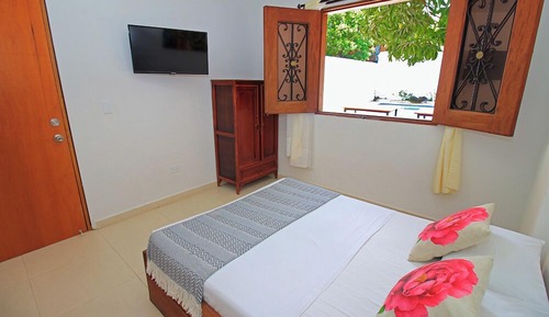 Basic Room, Pool View