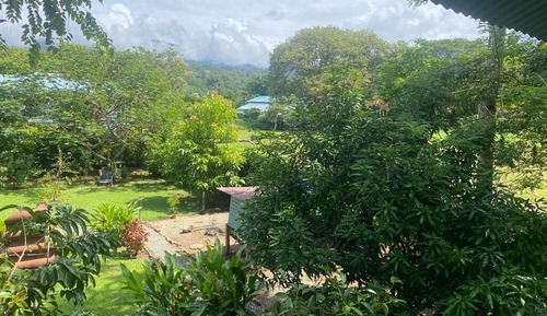 House, Garden View