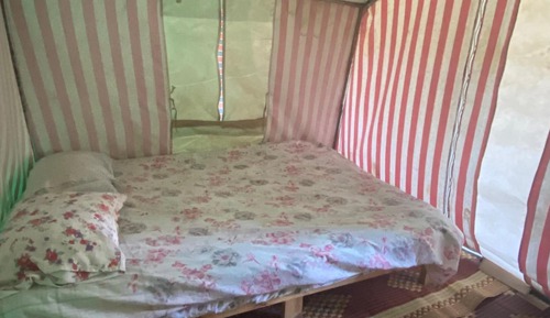 Standard Tent, Garden View