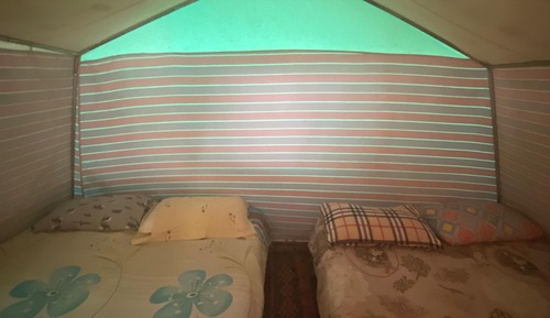 Basic Tent, Garden View