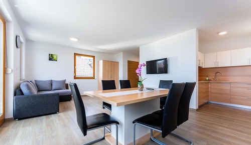 Comfort Apartment, Balcony, Mountain View