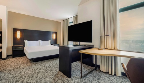 Studio, 1 King Bed with Sofa bed, Non Smoking (Mobility Accessible, Roll-in Shower)