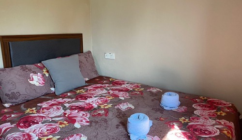 Basic Room, 1 Queen Bed