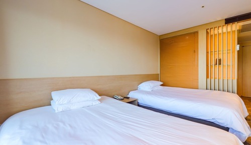 Family Twin Room