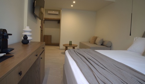 Suite with terrace 102