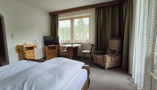 Basic Double Room, Balcony, Mountain View