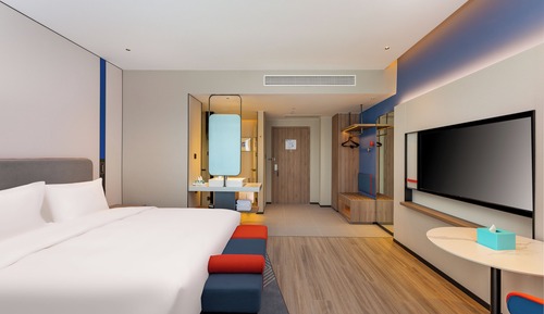 Room, 1 King Bed