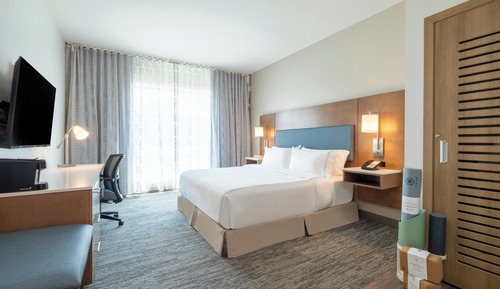 Standard Room, 1 King Bed, Accessible, Non Smoking (Communications, Trainer)
