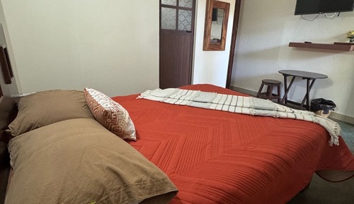 Comfort Studio, Patio, Garden View