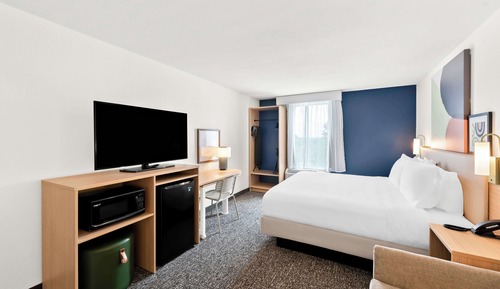 Room, 1 King Bed