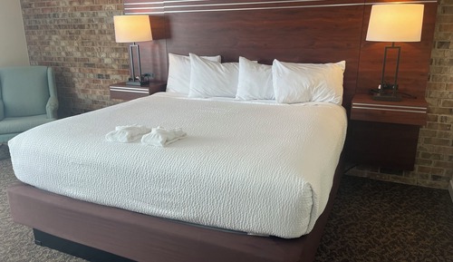Comfort Single Room