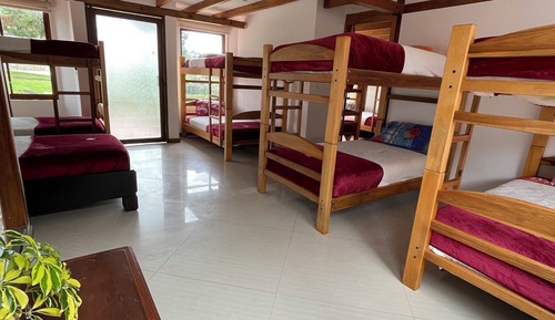 Economy Apartment