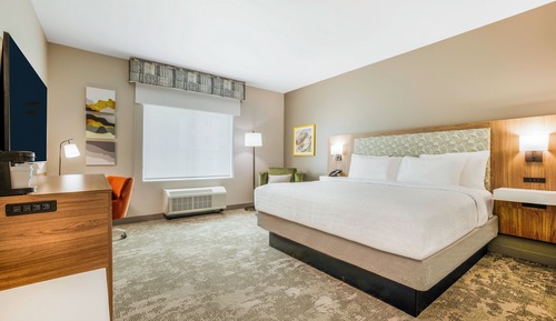 Room, 1 King Bed (Roll-In Shower, Mobility & Hearing)
