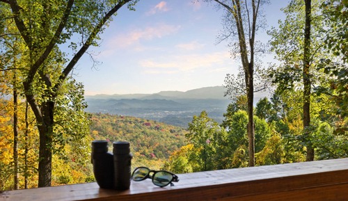 Family Cabin, Mountain View