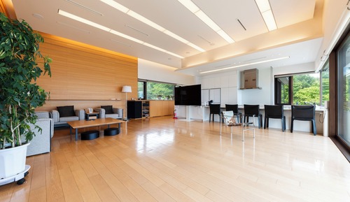 Basic Villa
